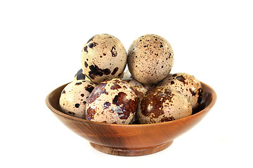 Image showing Quail eggs