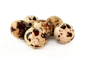 Image showing Quail eggs