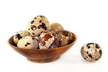 Image showing Quail eggs