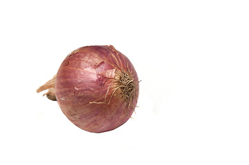 Image showing Onion