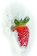 Image showing strawberry splashing into milk