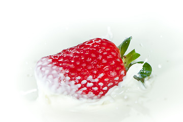 Image showing strawberry splashing into milk