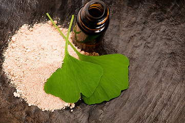 Image showing fresh leaves ginko biloba essential oil and powder - beauty trea