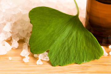 Image showing fresh leaves ginko biloba essential oil and sea salt - beauty tr