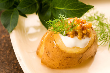 Image showing Baked potato with sour cream, grain Dijon mustard and herbs