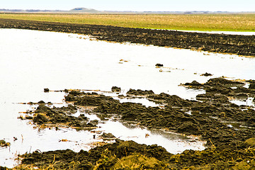 Image showing Flooded field