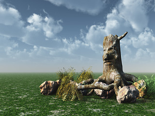 Image showing stump with face