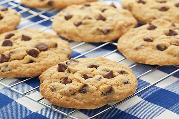 Image showing Cooling Cookies