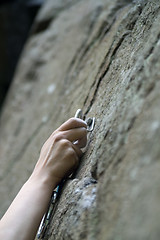 Image showing Climbers hand and quick-draws 