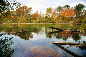 Image showing autumn leaves and trees on river