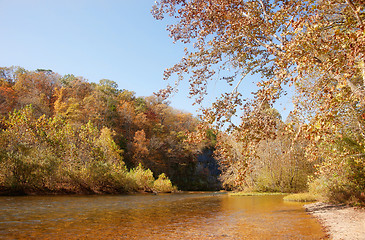 Image showing autumn leaves and trees on river