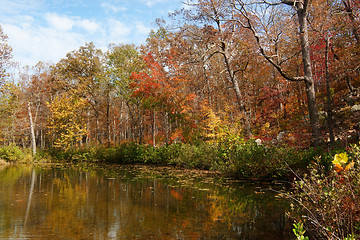 Image showing autumn leaves and trees on river