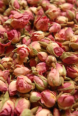 Image showing Rose buds