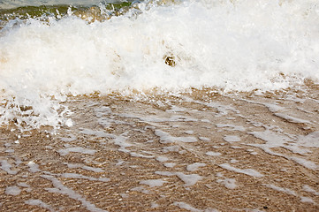 Image showing Ocean Shore