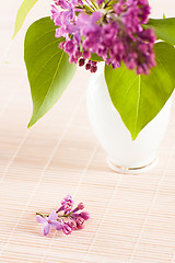 Image showing Bouquet of a lilac