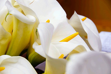 Image showing Cala lily bunch