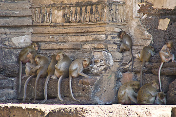 Image showing Wat Phra Prang Sam Yot