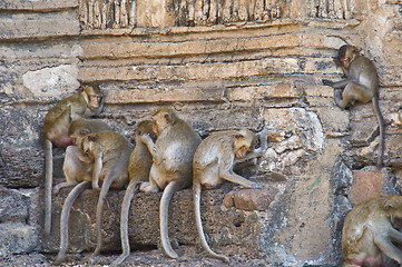 Image showing Wat Phra Prang Sam Yot