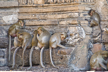 Image showing Wat Phra Prang Sam Yot