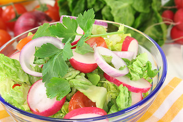 Image showing mixed salad