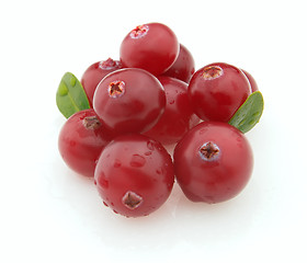 Image showing Fresh cranberry