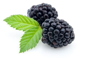 Image showing Ripe blackberry