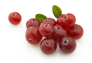 Image showing Fresh cranberry