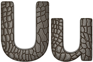 Image showing Alligator skin font U lowercase and capital letters