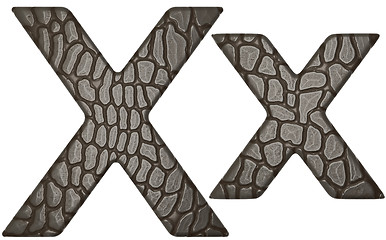 Image showing Alligator skin font X lowercase and capital letters