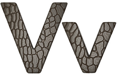 Image showing Alligator skin font V lowercase and capital letters