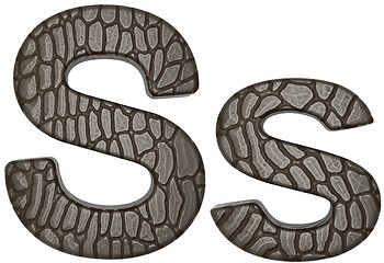 Image showing Alligator skin font S lowercase and capital letters