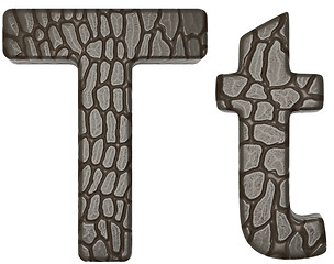 Image showing Alligator skin font T lowercase and capital letters