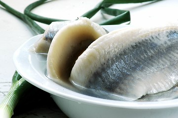 Image showing herring