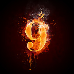 Image showing Fire Swirl Number 9