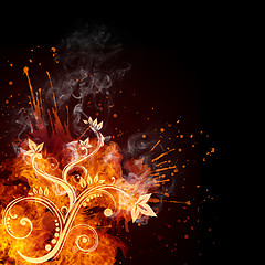 Image showing Fire Swirl