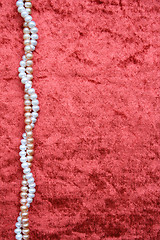 Image showing White and pink pearls on the terracotta velvet 