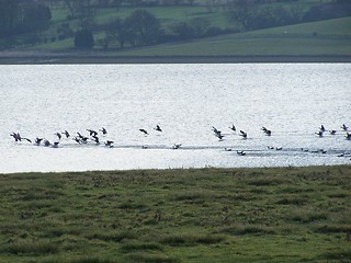 Image showing To land...