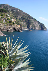 Image showing Italy. Cinque Terre