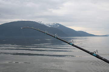 Image showing Alaska Salmon Fishing Pole