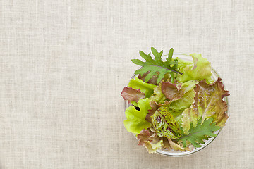 Image showing mixed baby lettuce bowl