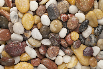 Image showing wet river pebbles 