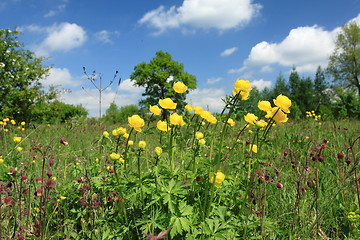 Image showing Nature in Poland