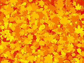 Image showing Colorful warm Autumn leaf background. EPS 8