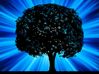 Image showing Tree with blue burst background. EPS 8