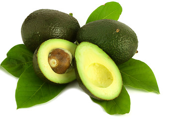 Image showing Avocado with leaves on white background 