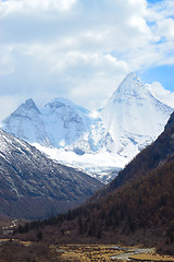 Image showing Snowy Mountains