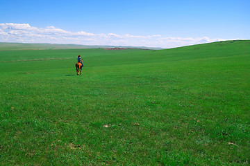 Image showing Horseback rider in grassland