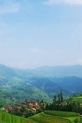 Image showing China rural field landscape