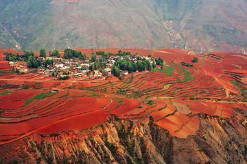 Image showing Village on red field