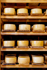 Image showing Pag cheese